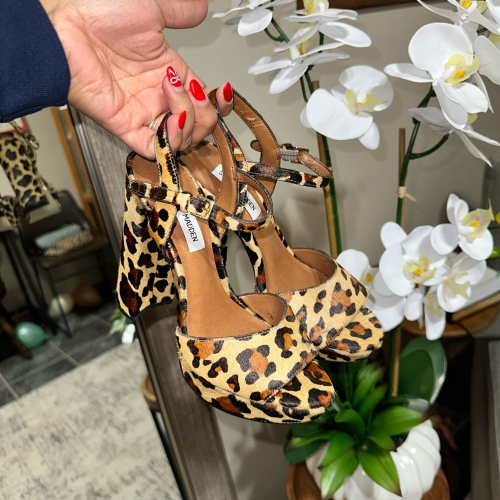 Steve Madden Leopard Print Women’s Heels
